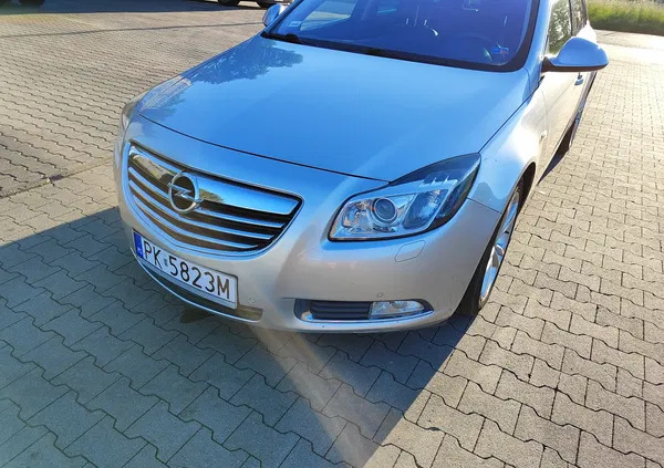 opel Opel Insignia cena 22999 przebieg: 299139, rok produkcji 2010 z Górzno